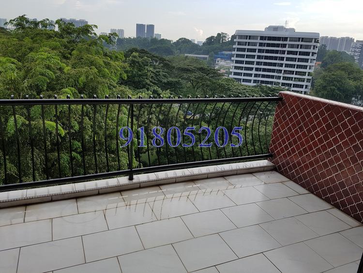 Sommerville Park (D10), Condominium #153876132